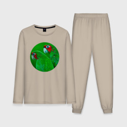 Мужская пижама с лонгсливом хлопок Два зелёных попугая