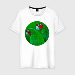Мужская футболка хлопок Два зелёных попугая