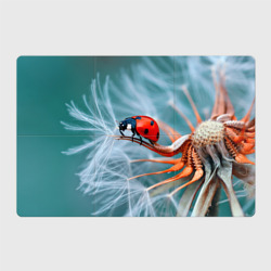 Магнитный плакат 3Х2 Маленькая божья коровка