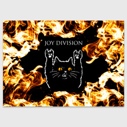 Поздравительная открытка Joy Division рок кот и огонь