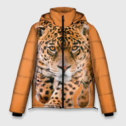 Мужская зимняя куртка 3D Ягуар на охоте