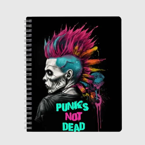 Тетрадь Punks not  dead