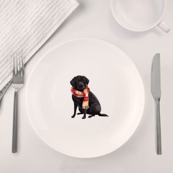 Набор: тарелка + кружка Лучший друг: лабрадор черный - фото 2