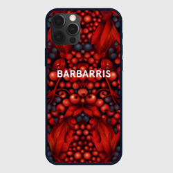 Чехол для iPhone 12 Pro Max Барбарис