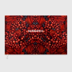 Флаг 3D Барбарис