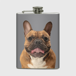 Фляга French bulldog