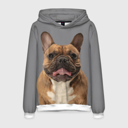 Мужская толстовка 3D French bulldog