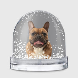 Игрушка Снежный шар French bulldog