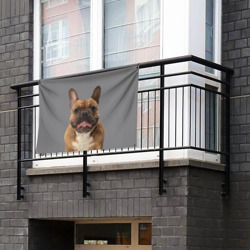 Флаг-баннер French bulldog - фото 2