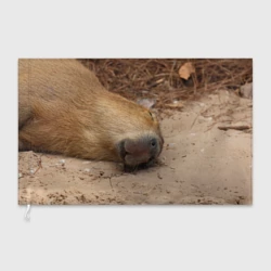 Флаг 3D Капибара балдеет