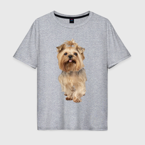 Мужская футболка хлопок Oversize с принтом Йоркширский терьер собака, вид спереди #2