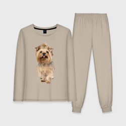 Йоркширский терьер собака – Женская пижама с лонгсливом хлопок с принтом купить