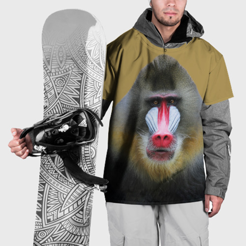 Накидка на куртку 3D Мандрил обезьяна, цвет 3D печать