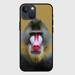 Чехол для iPhone 13 mini Мандрил обезьяна
