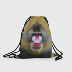 Рюкзак-мешок 3D Мандрил обезьяна