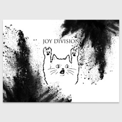 Поздравительная открытка Joy Division рок кот на светлом фоне