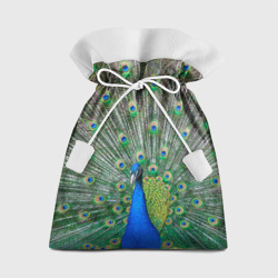 Подарочный 3D мешок Величественный павлин