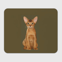 Прямоугольный коврик для мышки Абиссинская кошка рыжая