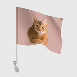 Флаг для автомобиля Абиссинская кошка рыжая