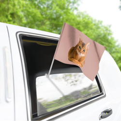 Флаг для автомобиля Абиссинская кошка рыжая - фото 2