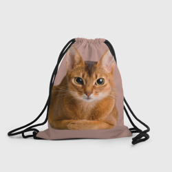 Рюкзак-мешок 3D Абиссинская кошка рыжая