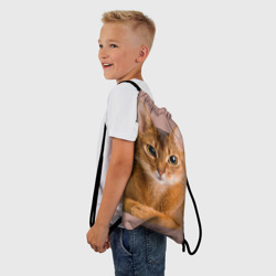 Рюкзак-мешок 3D Абиссинская кошка рыжая - фото 2
