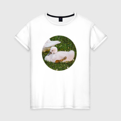 Женская футболка хлопок Малый лебедь