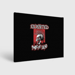 Холст прямоугольный Exploited - punks not dead