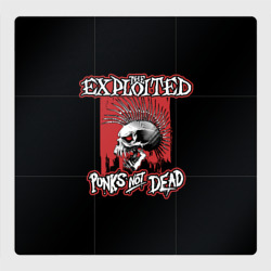 Магнитный плакат 3Х3 Exploited - punks not dead