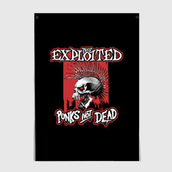 Постер Exploited - punks not dead