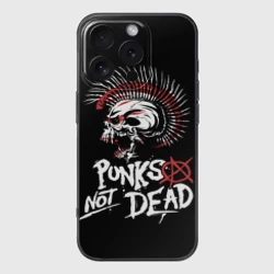 Чехол для iPhone 16 Pro силиконовый с защитой камеры Punks not dead - анархия