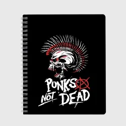 Тетрадь Punks not dead - анархия