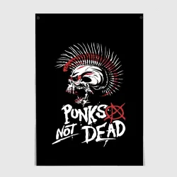Постер Punks not dead - анархия