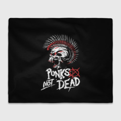 Плед 3D Punks not dead - анархия