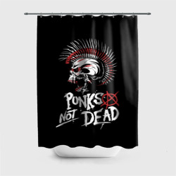 Штора 3D для ванной Punks not dead - анархия