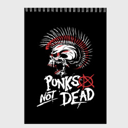 Скетчбук Punks not dead - анархия