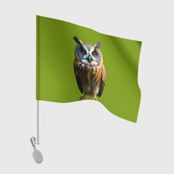 Флаг для автомобиля Разноцветная сова
