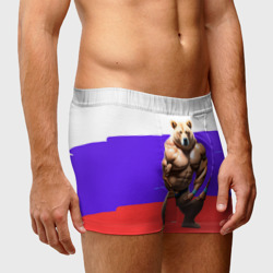 Мужские трусы 3D Накаченный медведь на Российском флаге - фото 2