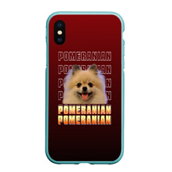 Чехол для iPhone XS Max матовый Pomeranian