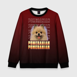 Детский свитшот 3D Pomeranian