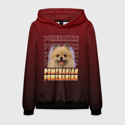 Мужская толстовка 3D Pomeranian