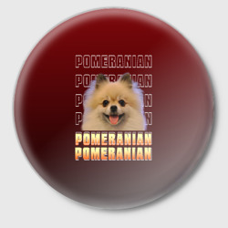 Значок Pomeranian