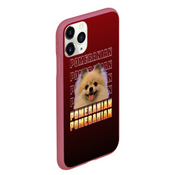 Чехол для iPhone 11 Pro Max матовый Pomeranian - фото 2