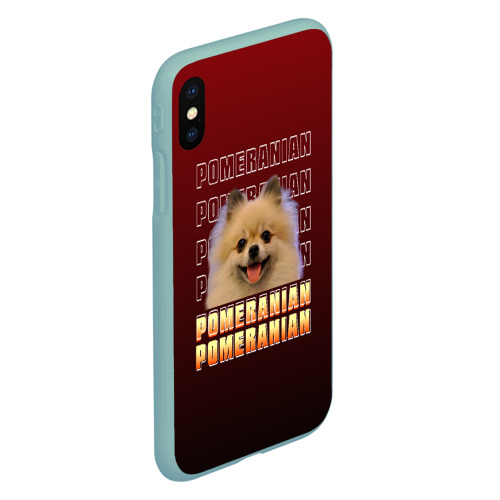 Чехол для iPhone XS Max матовый Pomeranian, цвет мятный - фото 3