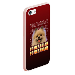 Чехол для iPhone 5/5S матовый Pomeranian - фото 2