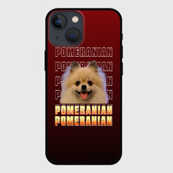 Чехол для iPhone 13 mini Pomeranian