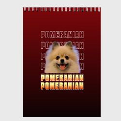 Скетчбук Pomeranian