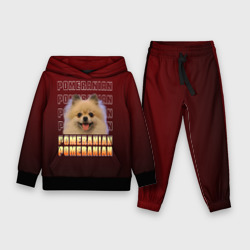 Детский костюм с толстовкой 3D Pomeranian