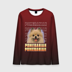 Мужской лонгслив 3D Pomeranian