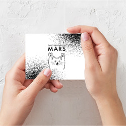 Поздравительная открытка Thirty Seconds to Mars рок кот на светлом фоне - фото 2